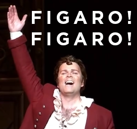 Figaro IG Reel